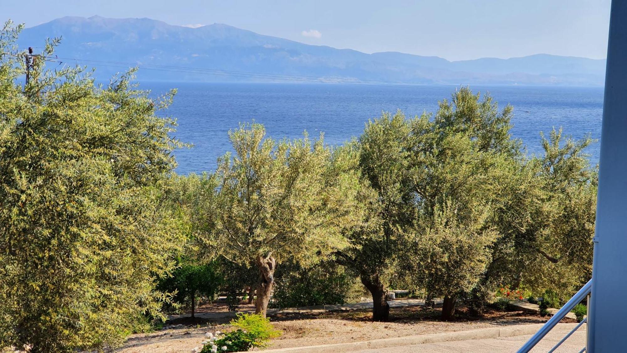 Assos Nazan Motel Restoran Beach Sokakagzi Rom bilde